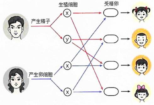 泰国试管“定制”宝宝性别？包生男孩女孩的秘密在这儿