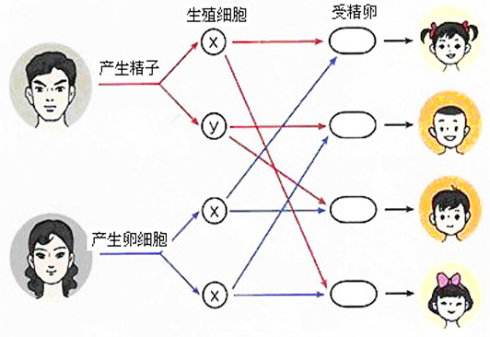 泰国试管“定制”宝宝性别？包生男孩女孩的秘密在这儿