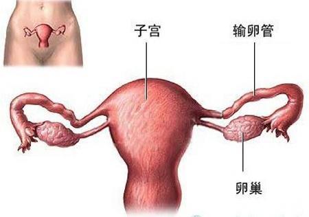 35岁输卵管堵塞 一次怀上男宝宝