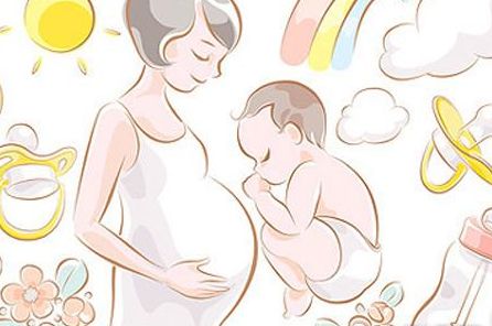 试管婴儿知多少 优秀的胚胎是怎样炼成的？