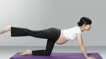 试管婴儿准妈妈孕期要运动，运动指南分享！