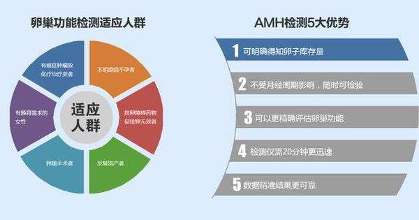 做试管婴儿前为什么一定要检查AMH值？