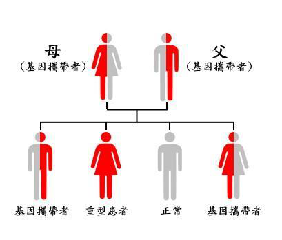 齐康喜孕多马来西亚三代试管助孕地中海贫血患者