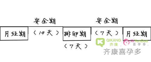 在准备怀孕过程中监测排卵的几种常用方式