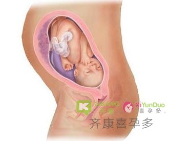 子宫内膜薄能做试管婴儿吗