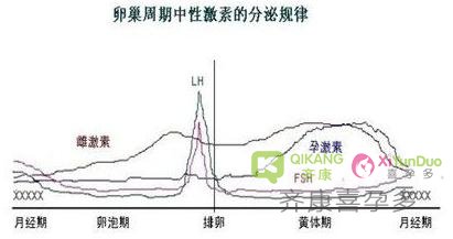 性激素六项检查在试管过程中有什么意义？