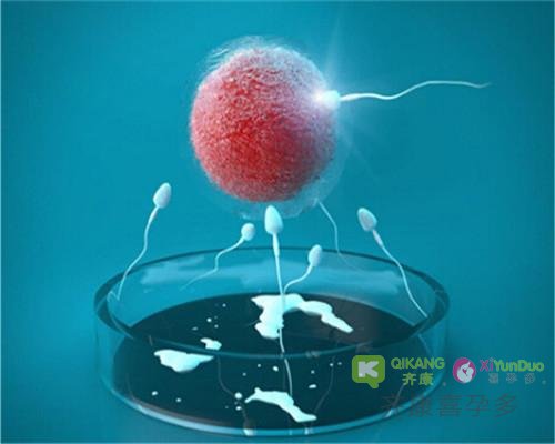 试管知识分享|试管婴儿胚胎培养液是什么？