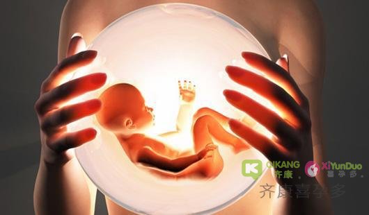 试管婴儿过程中医生是怎么挑选优选胚胎的？