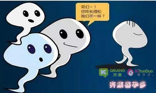 老公精子活力低、精子畸形能做试管么？