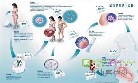 辅助生殖为什么要选择去泰国和马来西亚等国家？_试管婴儿