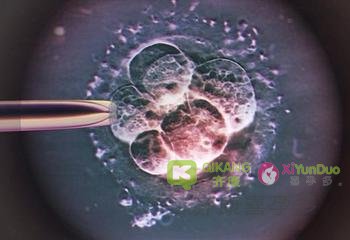 囊胚培养淘汰率那么高，为什么还要养囊？一文告诉你试管婴儿成功关键的小秘密！