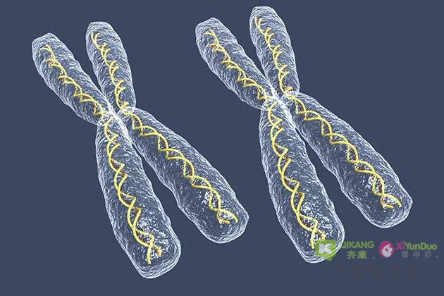 染色体异常可以去泰国做第三代试管婴儿吗？