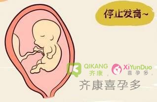 试管移植后胎停都有什么症状该如何预防?