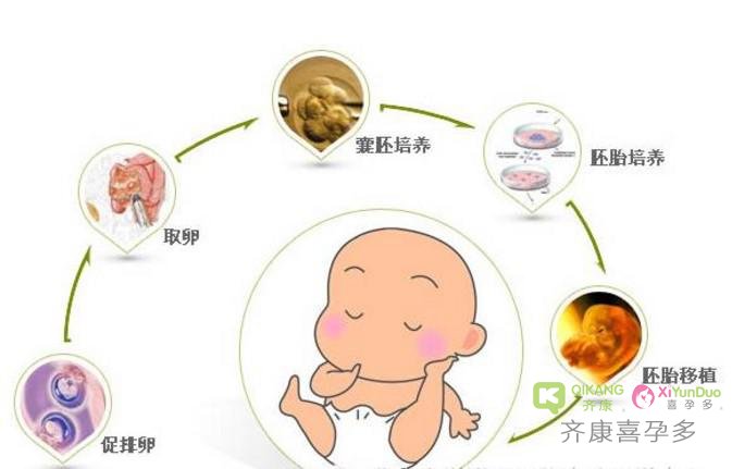 泰国试管婴儿囊胚移植后的10天 你的胚胎宝宝经历了什么