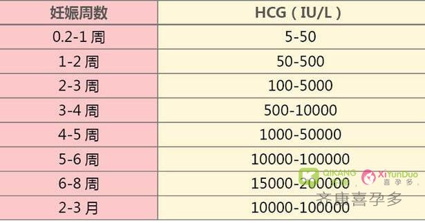 泰国试管婴儿囊胚移植后的10天 你的胚胎宝宝经历了什么