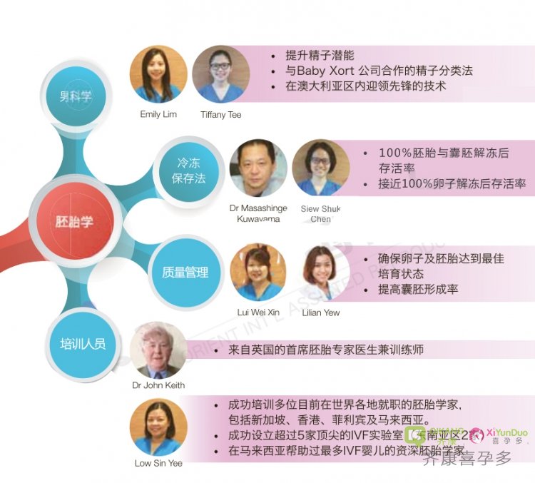 胚胎学家和科学家团队：