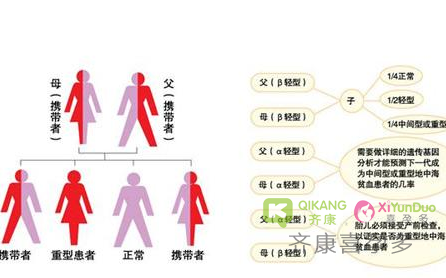 避免地中海贫血遗传下一代，马来西亚试管婴儿建奇功