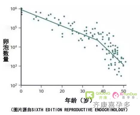 试管前身体检查卵巢储备下降与卵巢早衰是有本质区别的