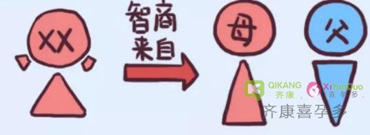 父母的基因如何决定孩子的智商与颜值？