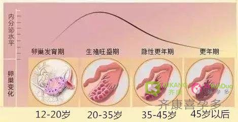 冷冻卵子比男朋友可靠 我的良人宁缺毋滥