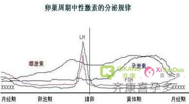 想预测试管促排的卵子数量 先了解激素六项中的重要指征——FSH