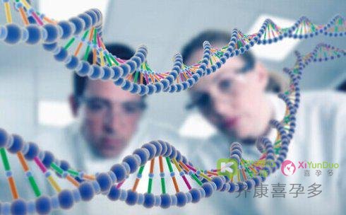 海外第三代试管可以使遗传病不再延祸后代！