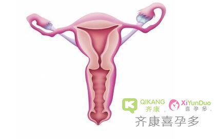 排卵才可以受孕,那绝经的女性可以正常做试管吗？
