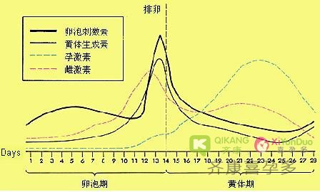 FSH值是什么？试管婴儿周期中FSH值高怎么办?