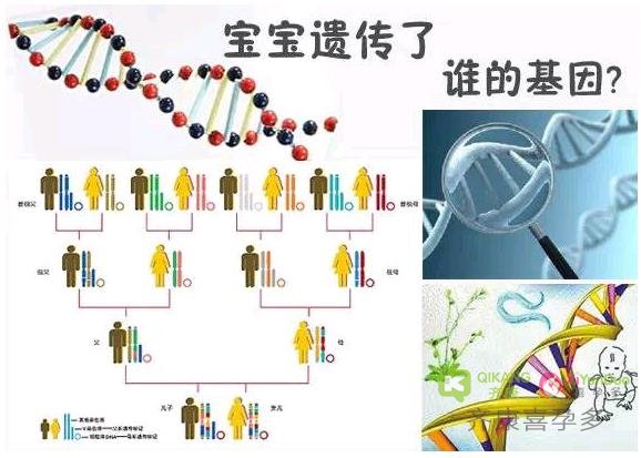 齐康喜孕多告诉您关于海外代Y您需要知道的