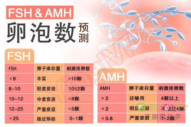 试管婴儿中辅助孵化是怎么回事？哪些人群要用？