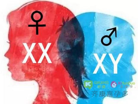 试管婴儿技术之————宝宝性别选择