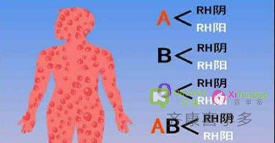 喜孕多小课堂：A型妈+O型爸爸 B型血的孩子是亲生的吗？