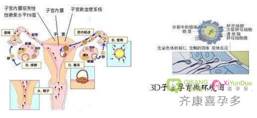 做泰国试管婴儿，碰到子宫内膜薄怎么破？