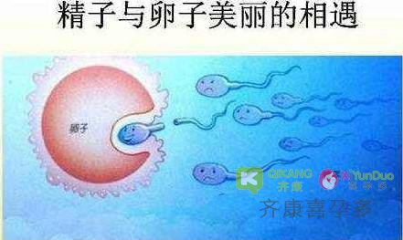 海外试管婴儿之——捐L的选择 上帝为失独家庭打开的另一扇窗