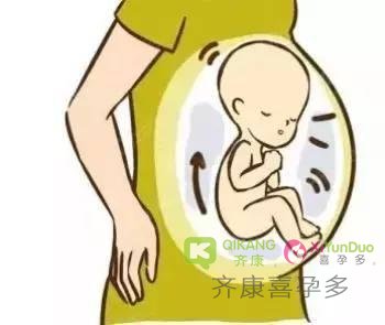 泰国试管成功后宝宝都在肚子里面做些什么？