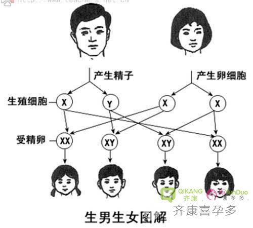 如果试管婴儿在民国时期就有，还会有电视剧中演的那种“娘道”吗？