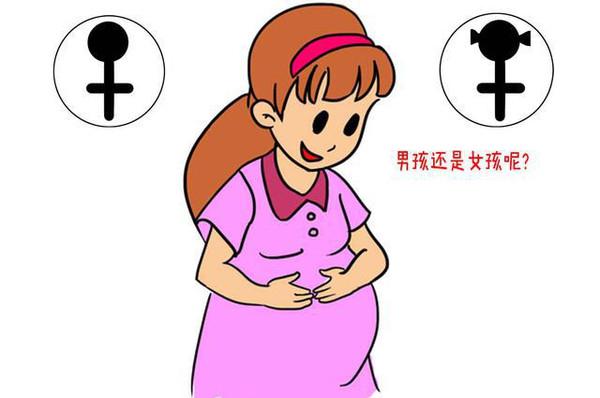 试管婴儿能生男孩是有根据的，精子分离可以使家里儿女双全
