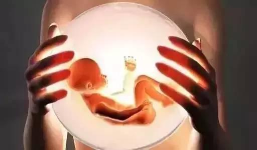 海外试管婴儿为什么大多数都选择移植冷冻胚胎？