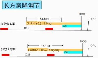 做试管每个人都是一样的促排吗？不同的身体情况该如何选择促排方案