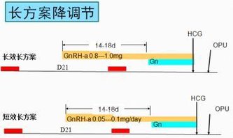 做试管每个人都是一样的促排吗？不同的身体情况该如何选择促排方案