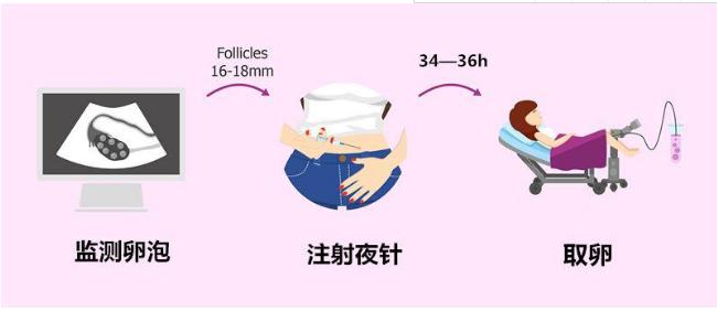 做试管每个人都是一样的促排吗？不同的身体情况该如何选择促排方案