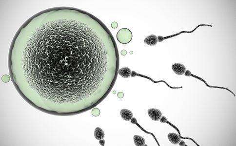 为什么会有畸形精子？精子畸形对生育有多大影响？