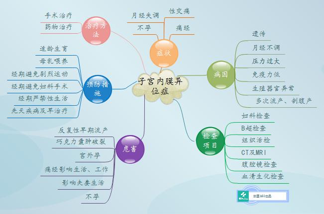 做泰国试管婴儿胚胎移植子宫内膜薄是怎么影响成功着床的？