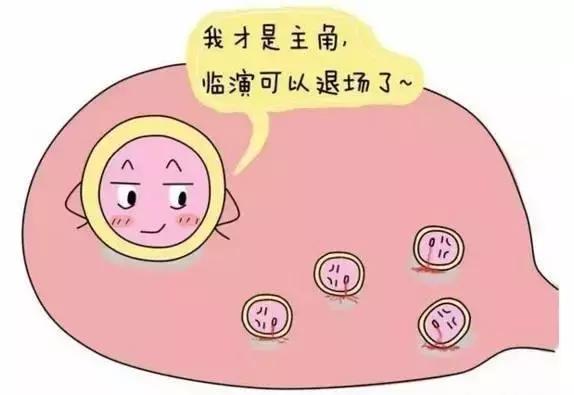 齐康喜孕多告诉你，怎样的卵泡叫做优质卵泡，才能让你快速怀孕
