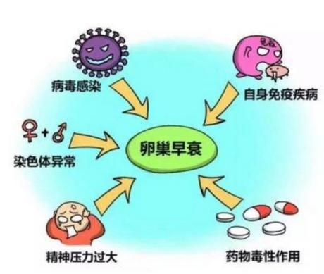 影响卵子质量的八大因素 你知道几个？盘点卵子质量好坏原因