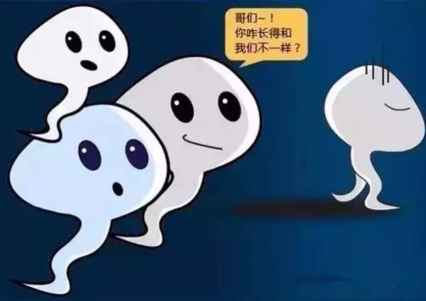 精子检查报告自己怎么看，评估男方受孕能力的重要报告解读