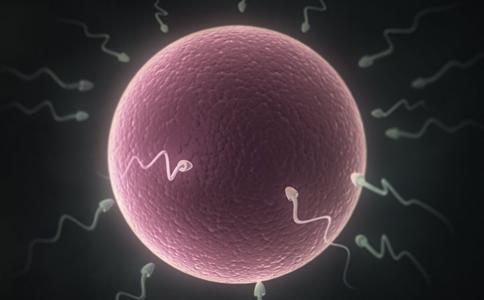 精子检查报告自己怎么看，评估男方受孕能力的重要报告解读