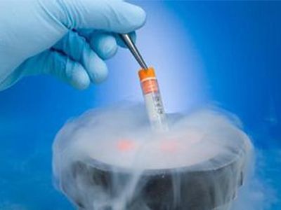 泰国试管婴儿过程中，多的健康胚胎冷冻起来怎么回事?