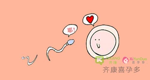 试管婴儿的成功率是男方影响的因素多还是女方影响的因素多