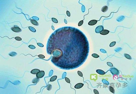 试管合格精液标准知多少：你的精子合格吗？